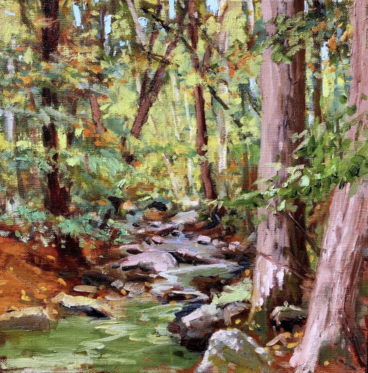 Catoctin Stream by Deborah Lovelace Richardson 
