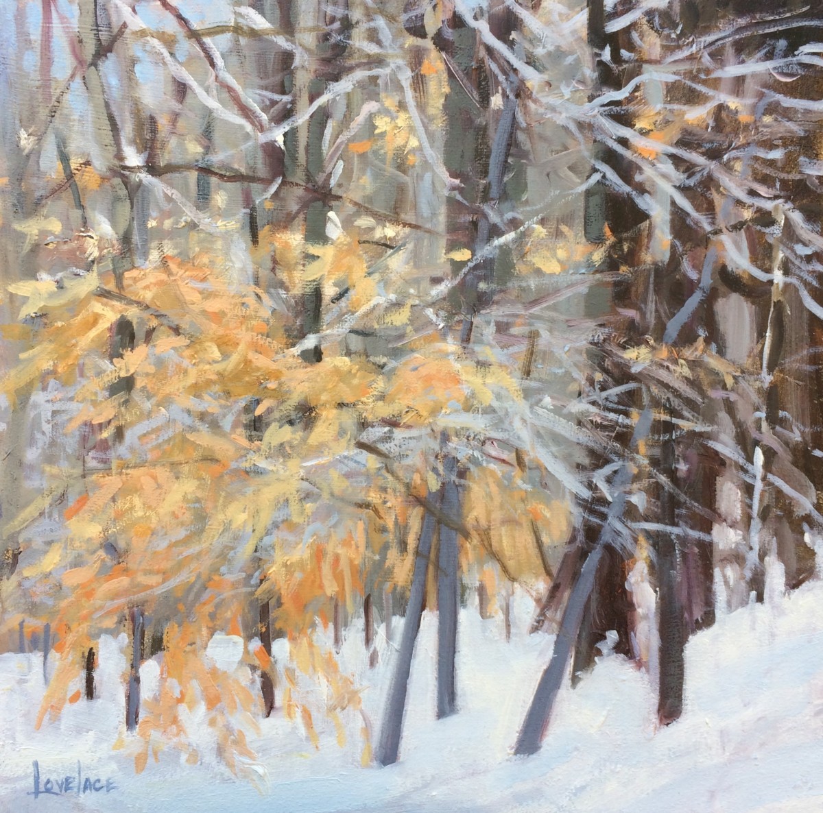 Winter Trees by Deborah Lovelace Richardson 