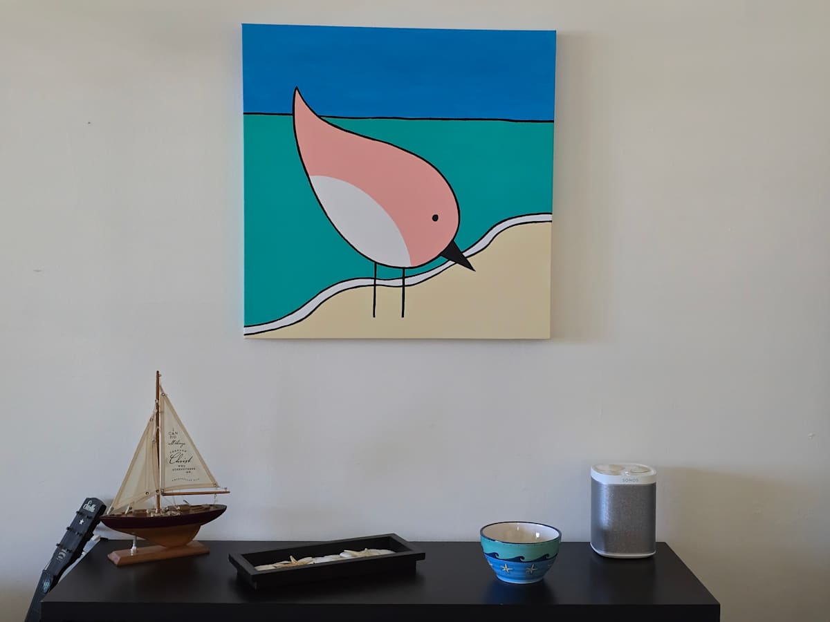 Plover by Eileen Saunders 