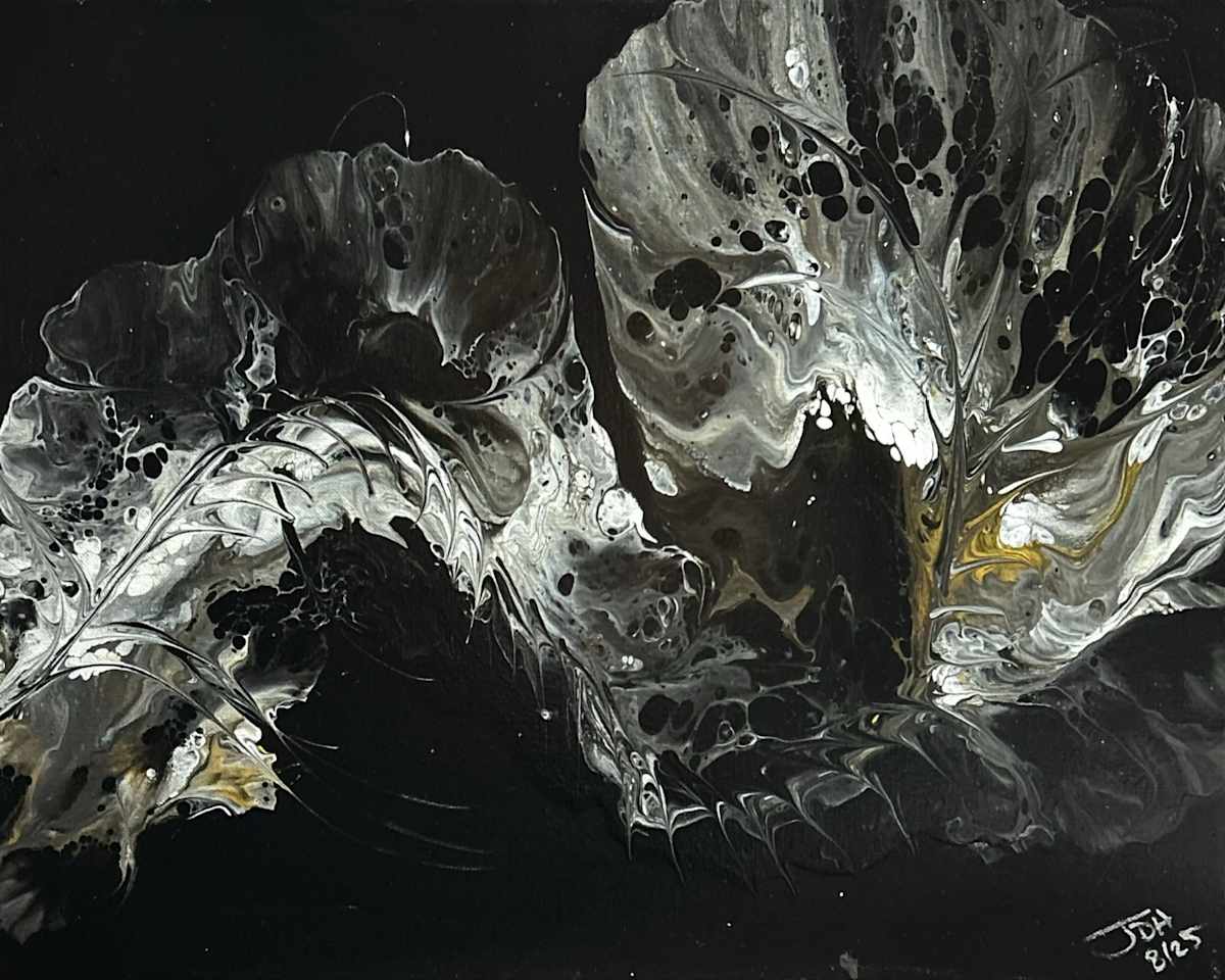 Nightbloom Fold by JD Hecht 