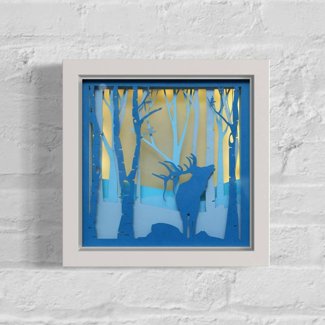 Majestic Wilderness B.O.X. by JD Hecht 