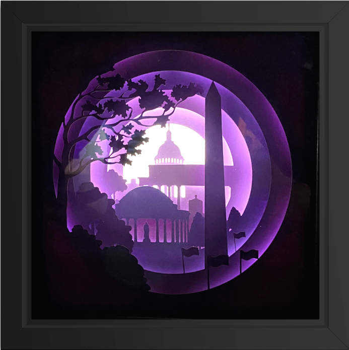 Washington D.C. BOX by JD Hecht 