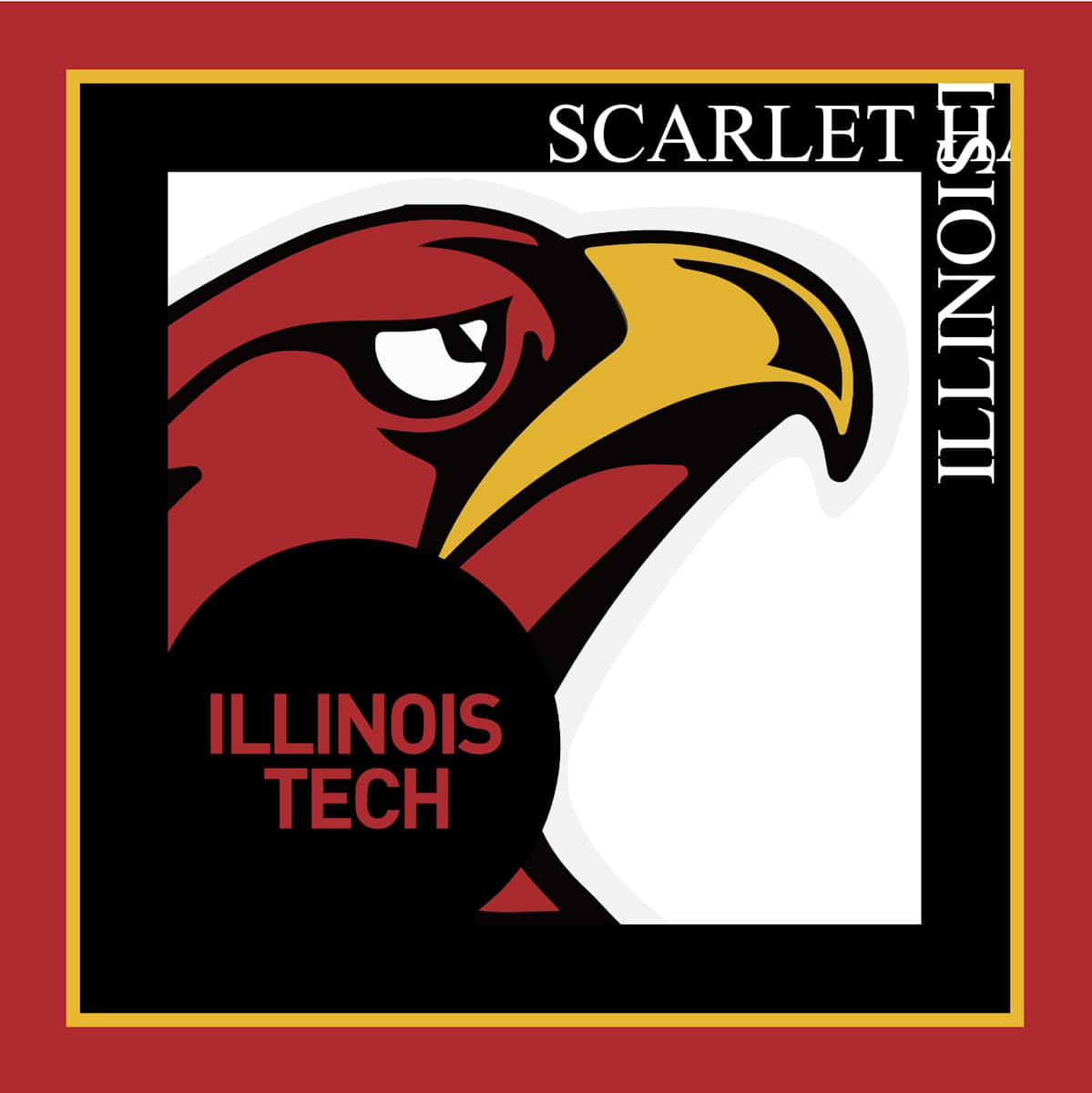 Illinois Tech | Scarlet Hawks BOX by JD Hecht 
