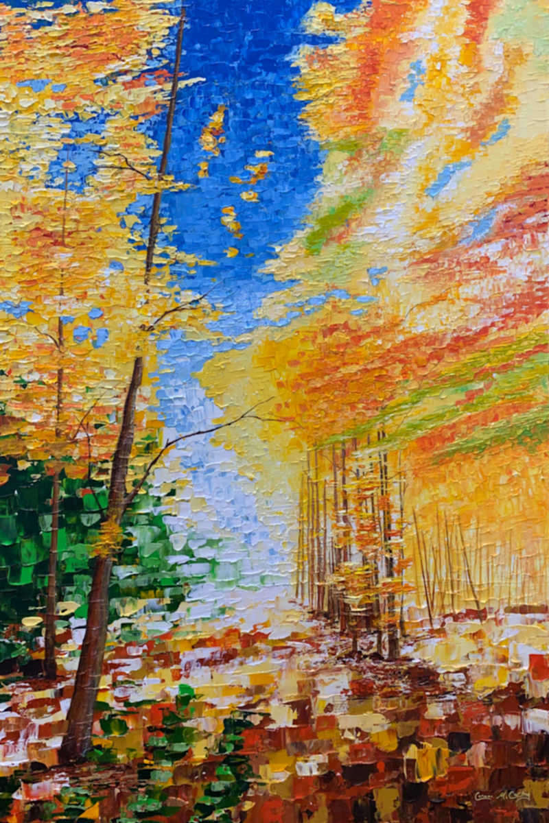 The Golden Veil by Cormac McCarthy 