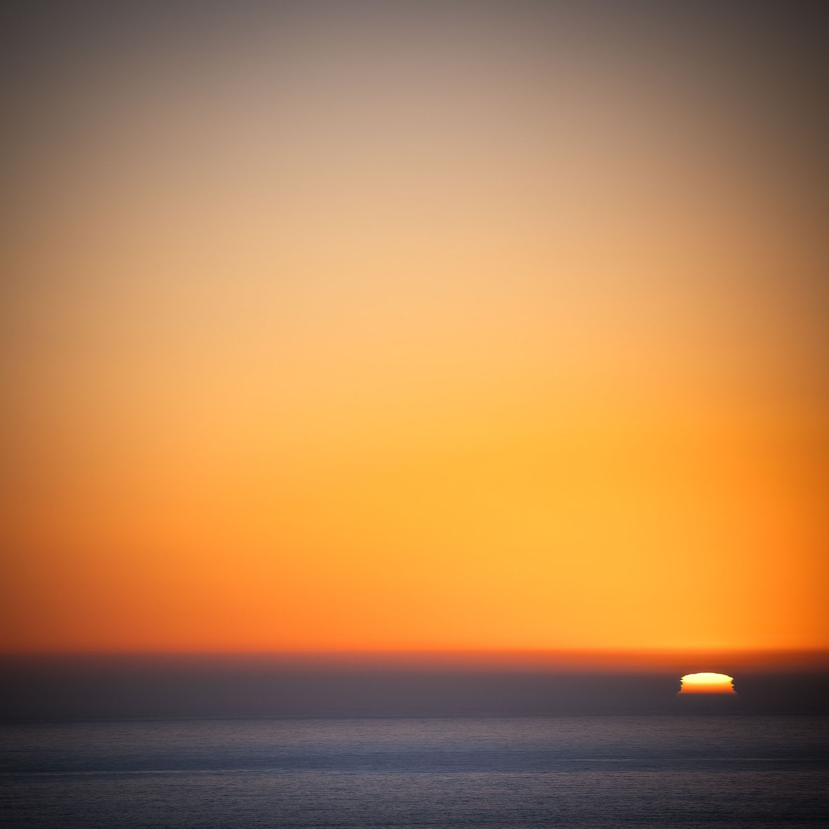 Albion Sunset by Bob Burnett 