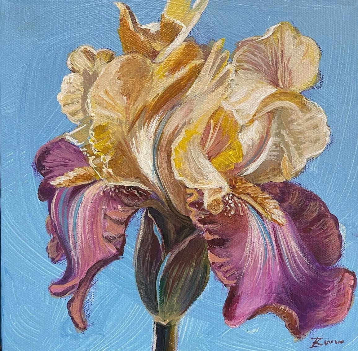 Painterly Iris by Beth Walldorf 