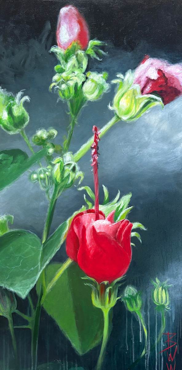 Turk’s Cap Hibiscus by Beth Walldorf 