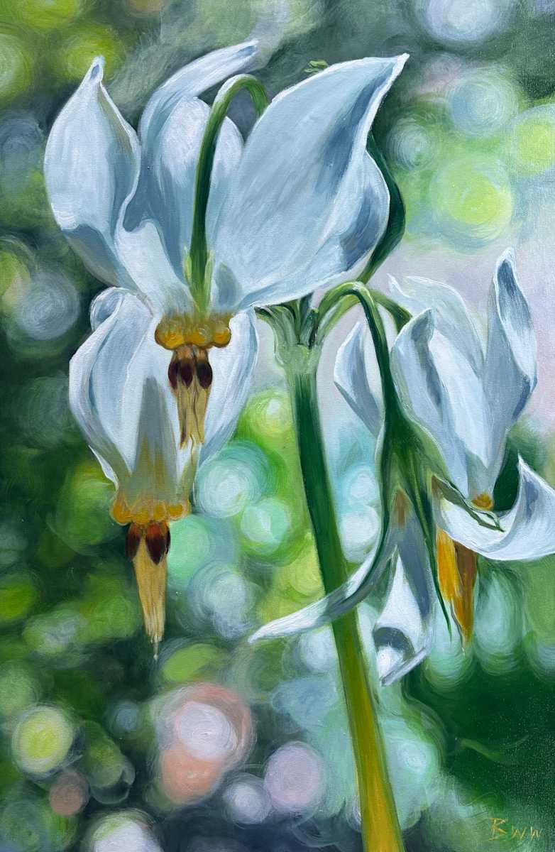 Eastern Shooting Star at the Huntsville Wildflower Trail by Beth Walldorf 