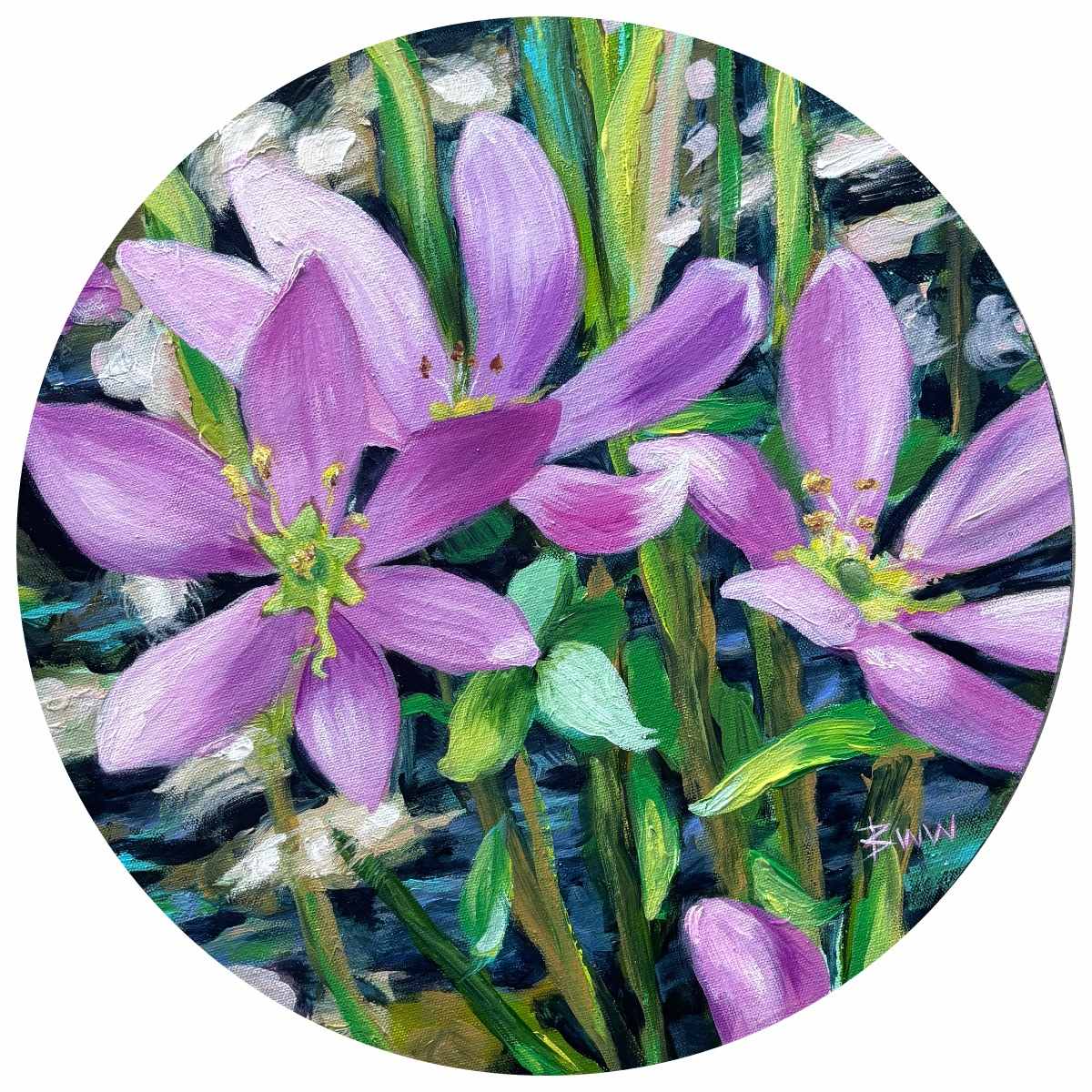 Common Rose Pink by Beth Walldorf 