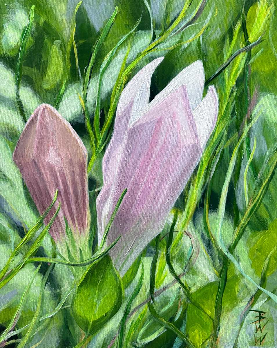 Alabama Indian Pink: A Bibb County Endemic Species by Beth Walldorf  Image: his painting features Alabama Indian Pink, a rare wildflower endemic to Bibb County, Alabama, where it grows in the unique Ketona dolomite glades. A member of the gentian family, this small pink flower is shown just as it begins to open—captured in early summer with a shallow depth of field to create soft bokeh among the saturated green leaves. As a species found nowhere else in the world, it faces threats from habitat loss, including quarrying. Painted with professional artist-quality acrylics on deep gallery-wrapped canvas, the piece is varnished for protection and comes ready to hang—no framing needed.