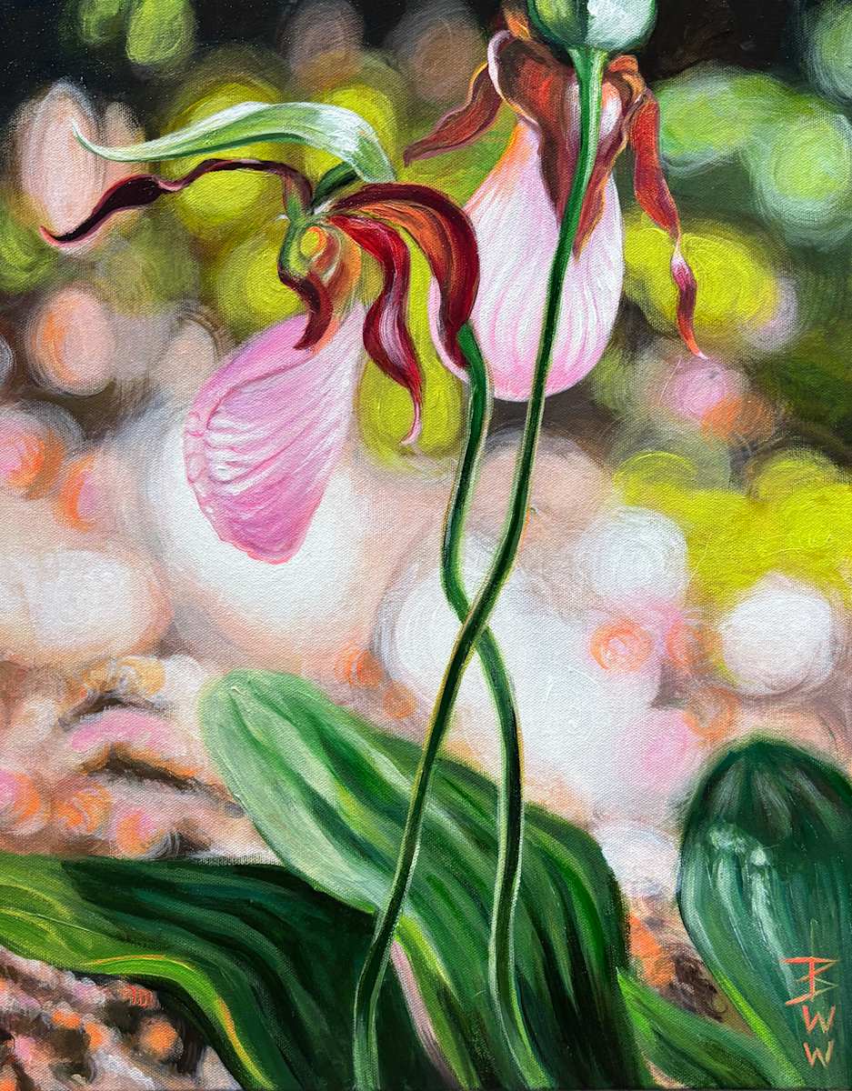 Sisters: Pink Lady Slippers by Beth Walldorf 