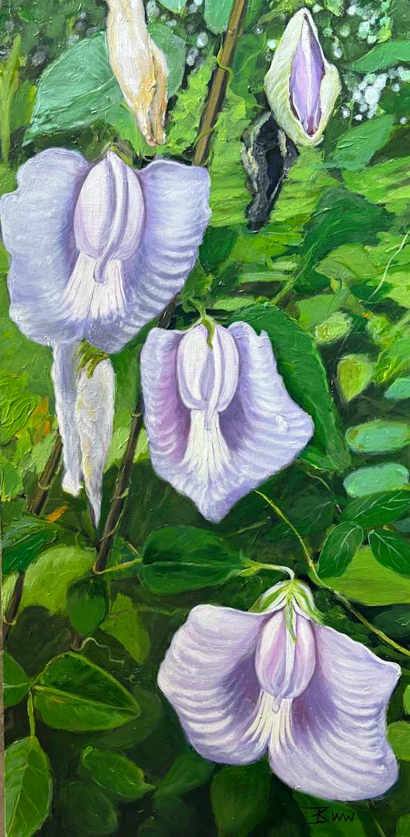 Spurred Butterfly Pea by Beth Walldorf 