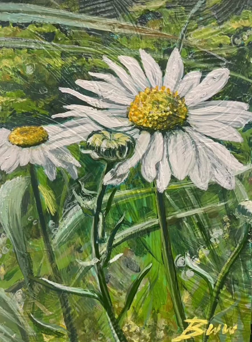 Colorodo Oxeye Daisies (White Frame) by Beth Walldorf  Image: FRAMED