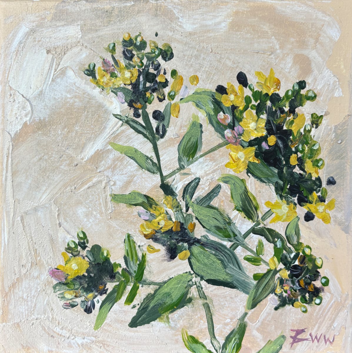 Saint John’s Wort at Flint Creek by Beth Walldorf 