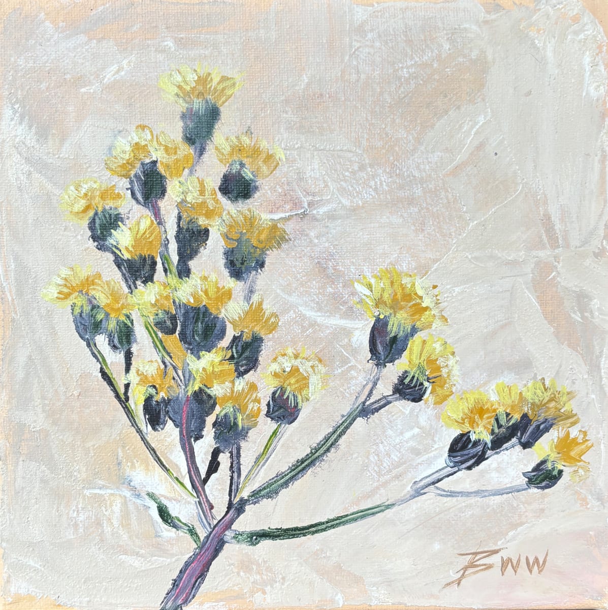 Faded Ironweed After the Bloom by Beth Walldorf 