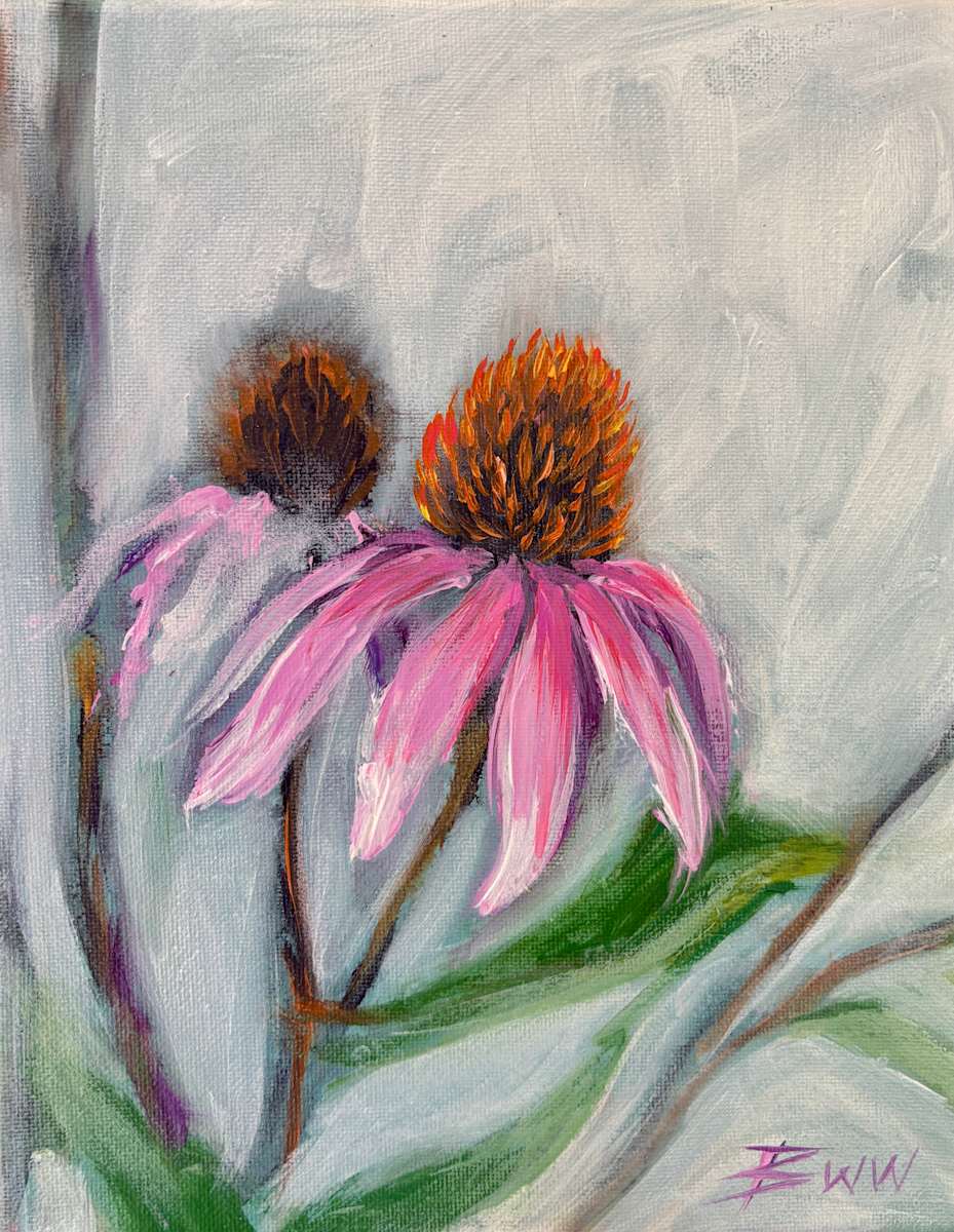 Echinacea by Beth Walldorf 