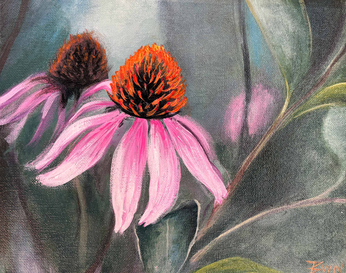 Echinacea by Beth Walldorf 