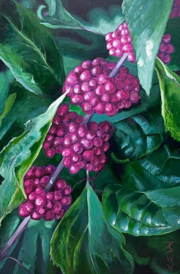 American Beauty Berry by Beth Walldorf  Image: The American beautyberry flowers in early summer, but it’s best known for its showstopping magenta fruit. This piece was inspired by a plant photographed in the Kaul Wildflower Garden, a native plant garden managed by the Birmingham Botanical Gardens. The composition highlights the saturated color and clustered texture of the berries as they descend diagonally through the canvas. Deep green leaves, layered and lit with glints of light, guide the viewer’s eye throughout the piece. Painted on deep gallery-wrapped canvas with professional artist-quality materials, it’s varnished for protection and comes ready to hang—no framing needed.