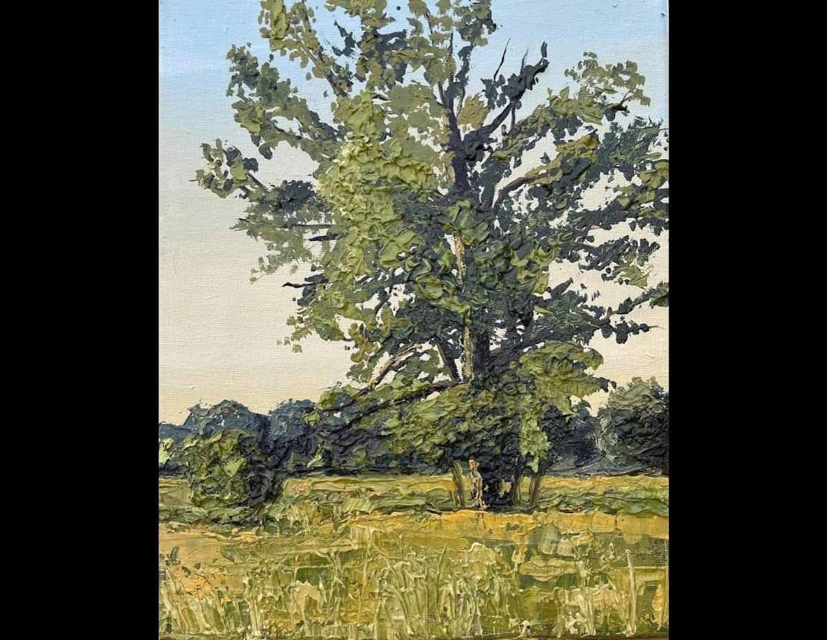 Lone tree by Beth Walldorf 