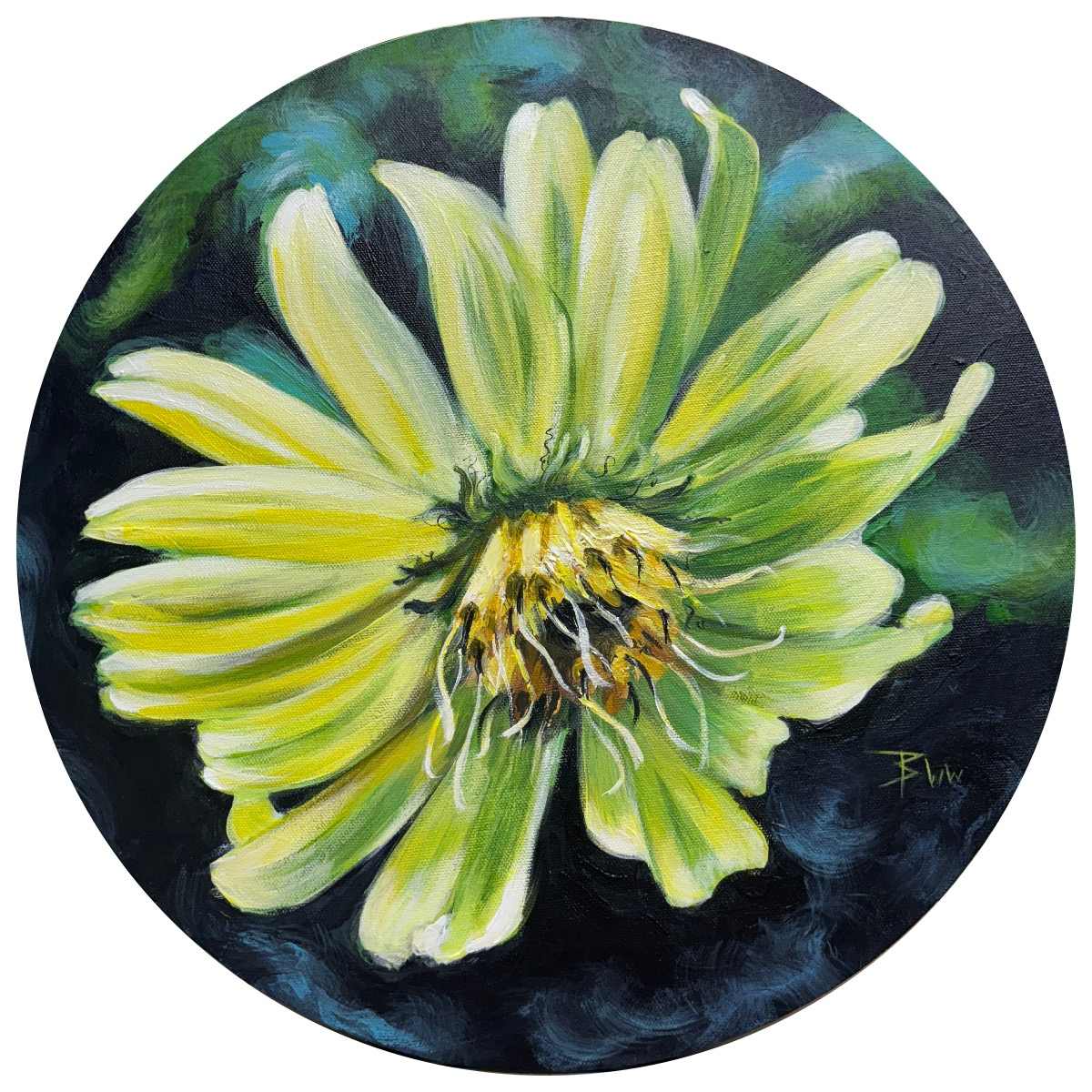 Silphium Encircled by Beth Walldorf 