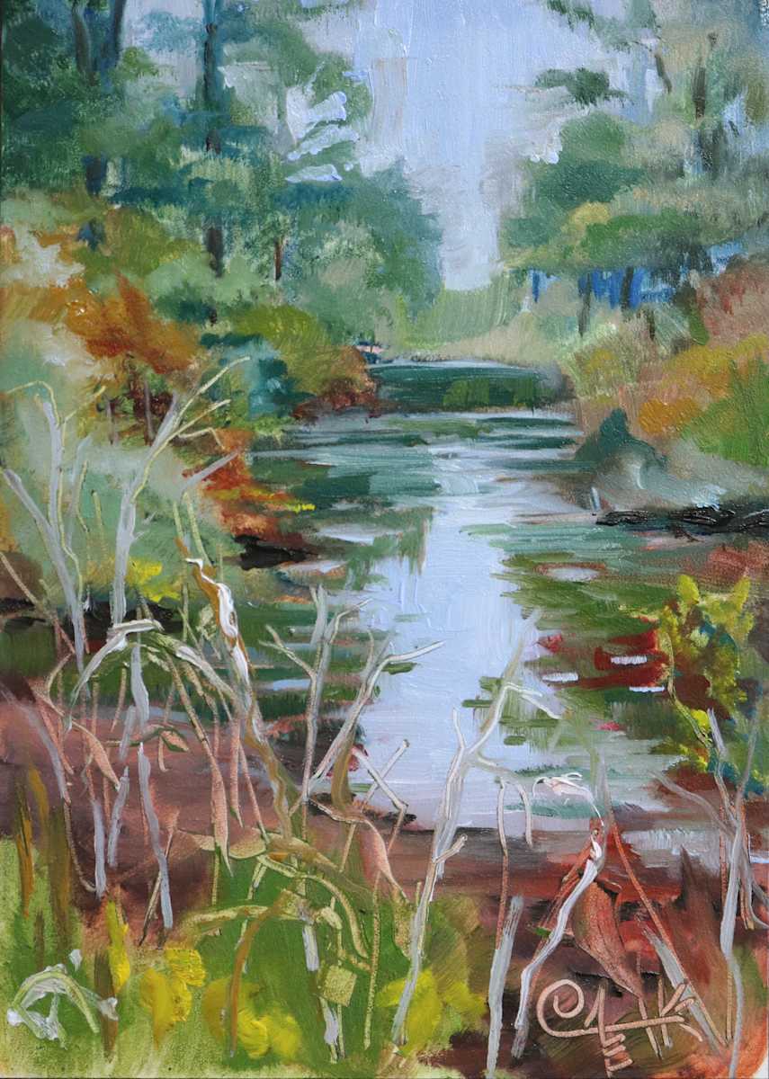 Belle Isle Swamp, Image 1.