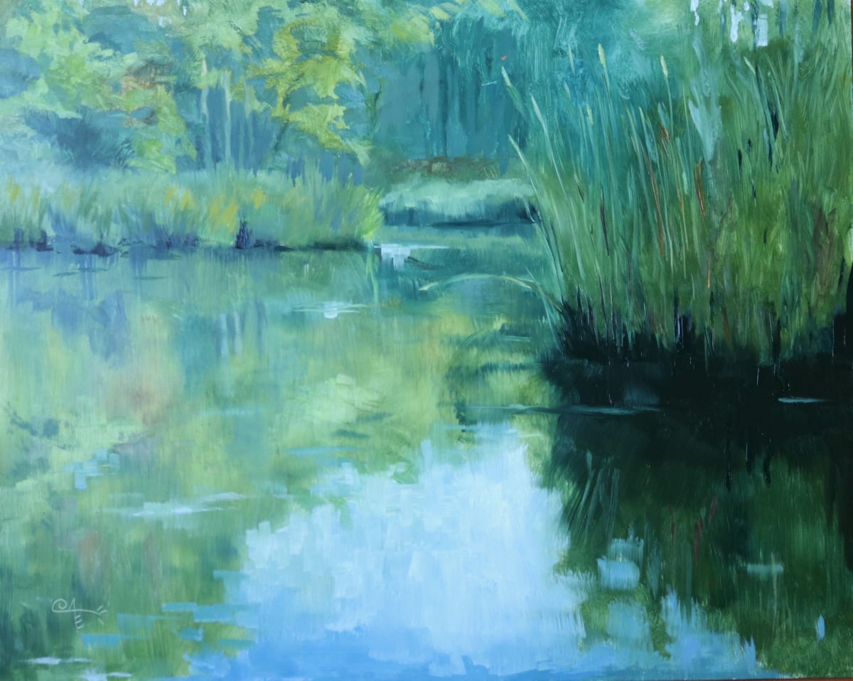 Betts Mill Creek Swamp by Catherine Kauffman 