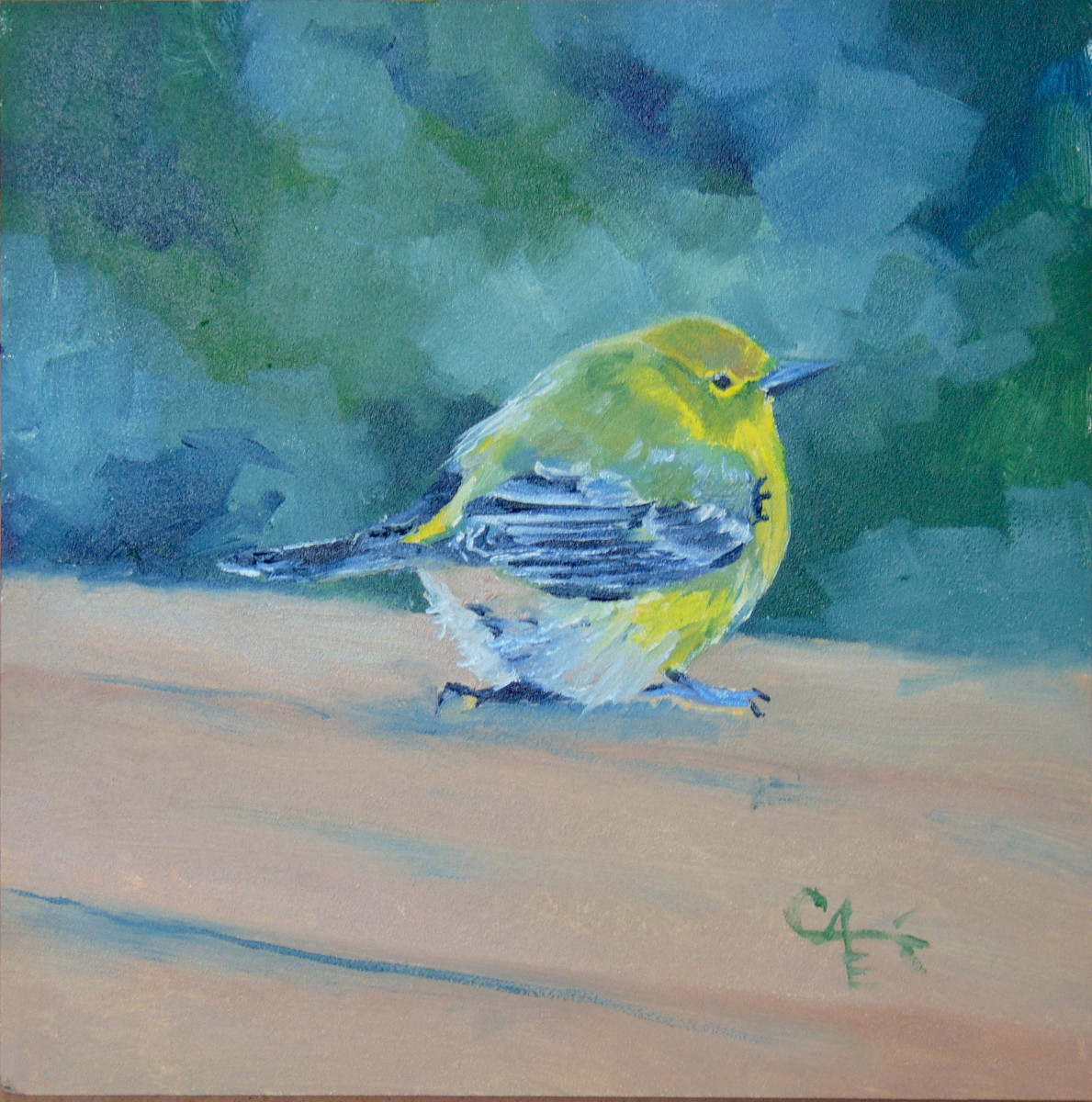Pine Warbler on the Deck by Catherine Kauffman 