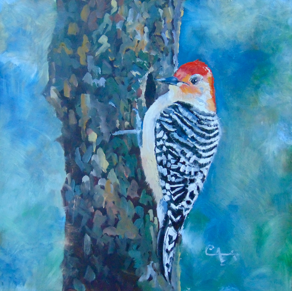 Red-belly on the Dogwood by Catherine Kauffman 