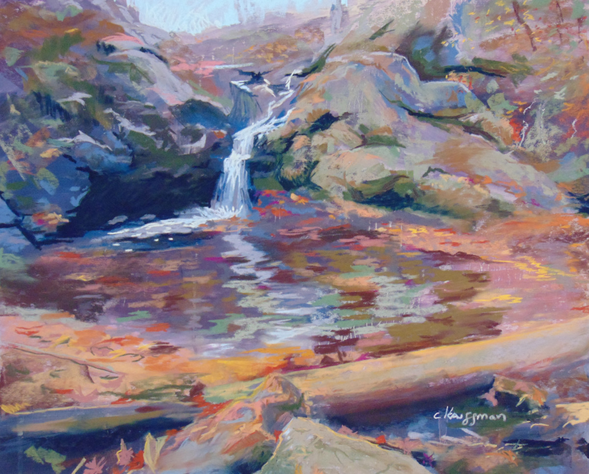 Fredericksburg Falls by Catherine Kauffman 