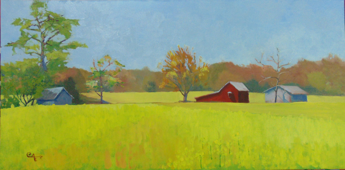 Canola Fields by Catherine Kauffman 