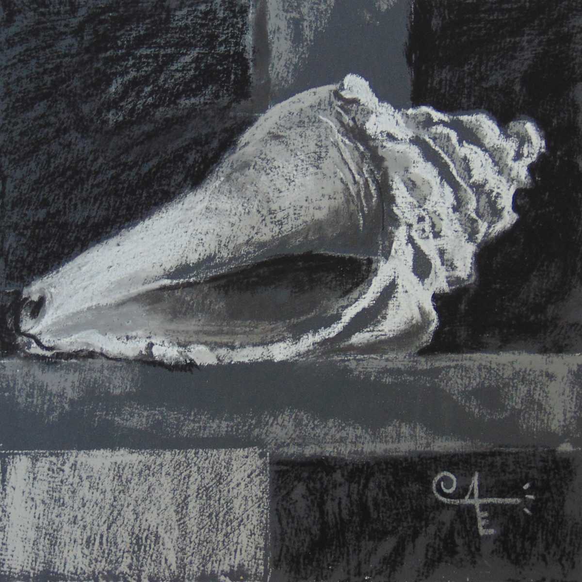 Shell in Black & White by Catherine Kauffman, Image 1.