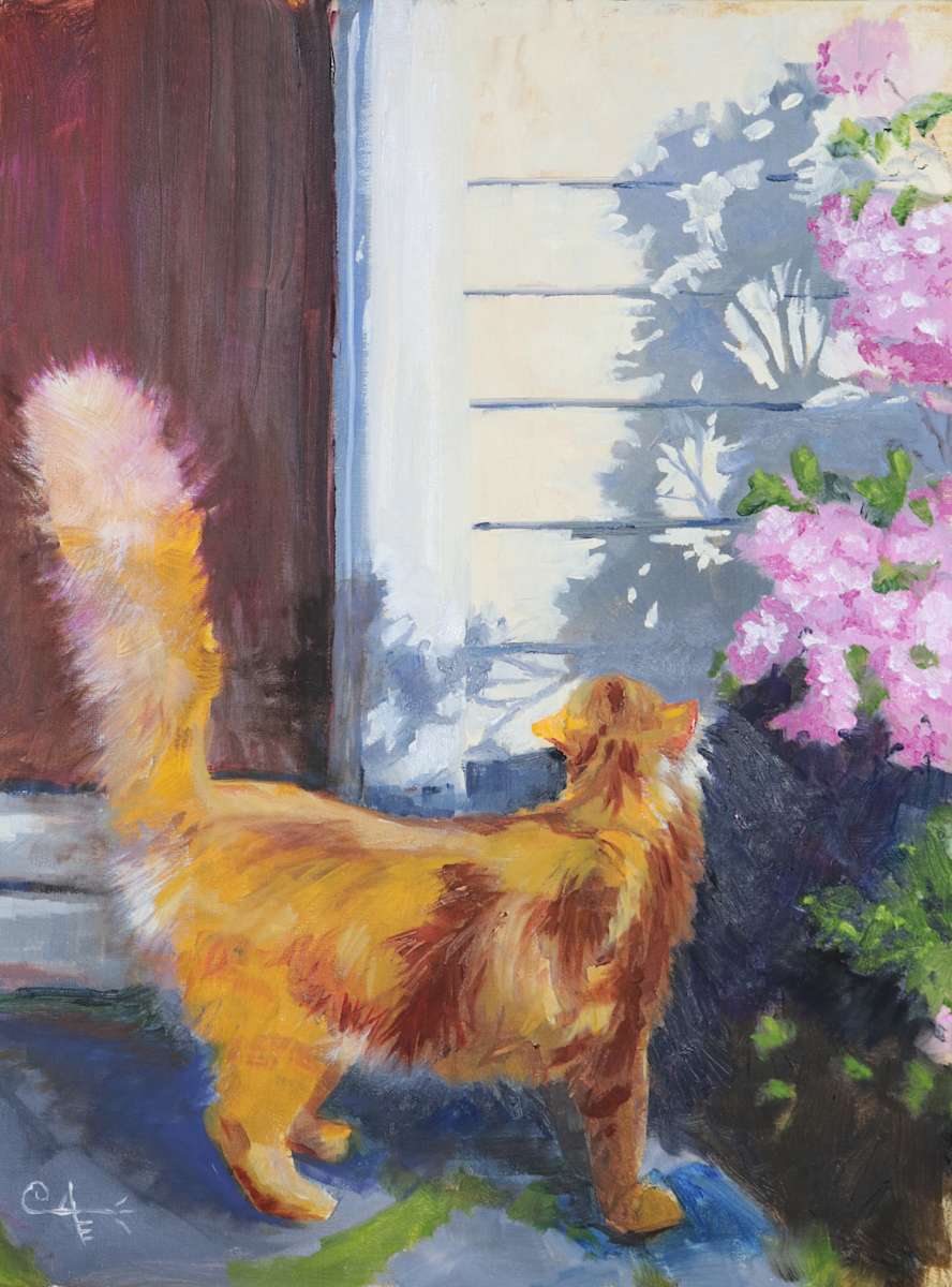 Jack and the shadows by Catherine Kauffman, Image 1.