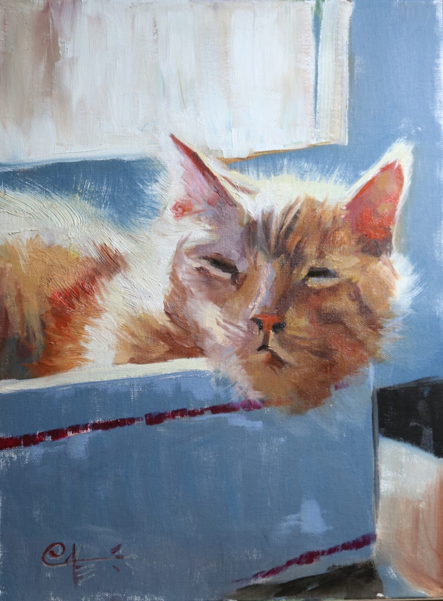 Jack In The Box by Catherine Kauffman 