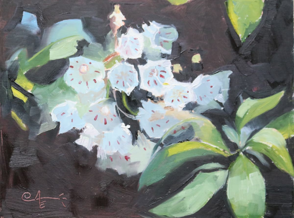 Mountain Laurels by Catherine Kauffman 