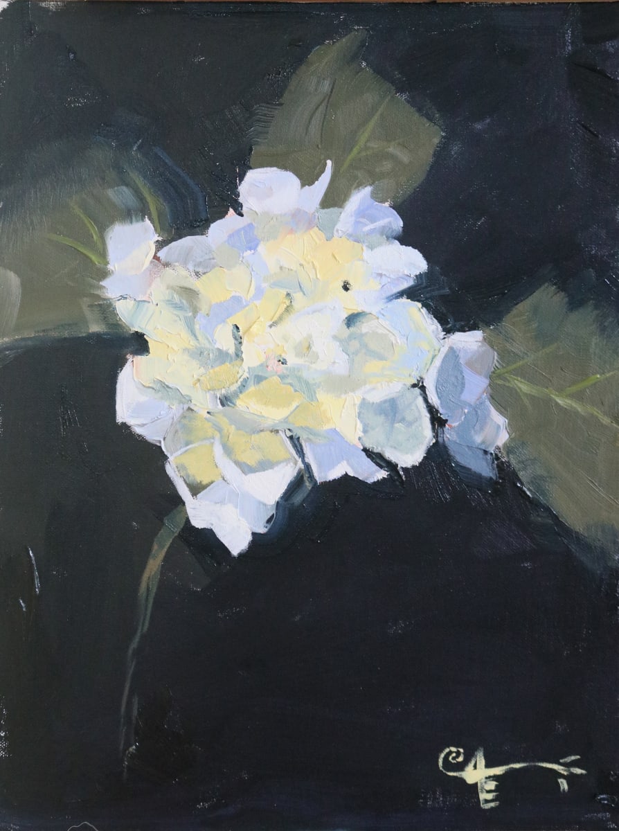A Minimalist's Hydrangea by Catherine Kauffman 