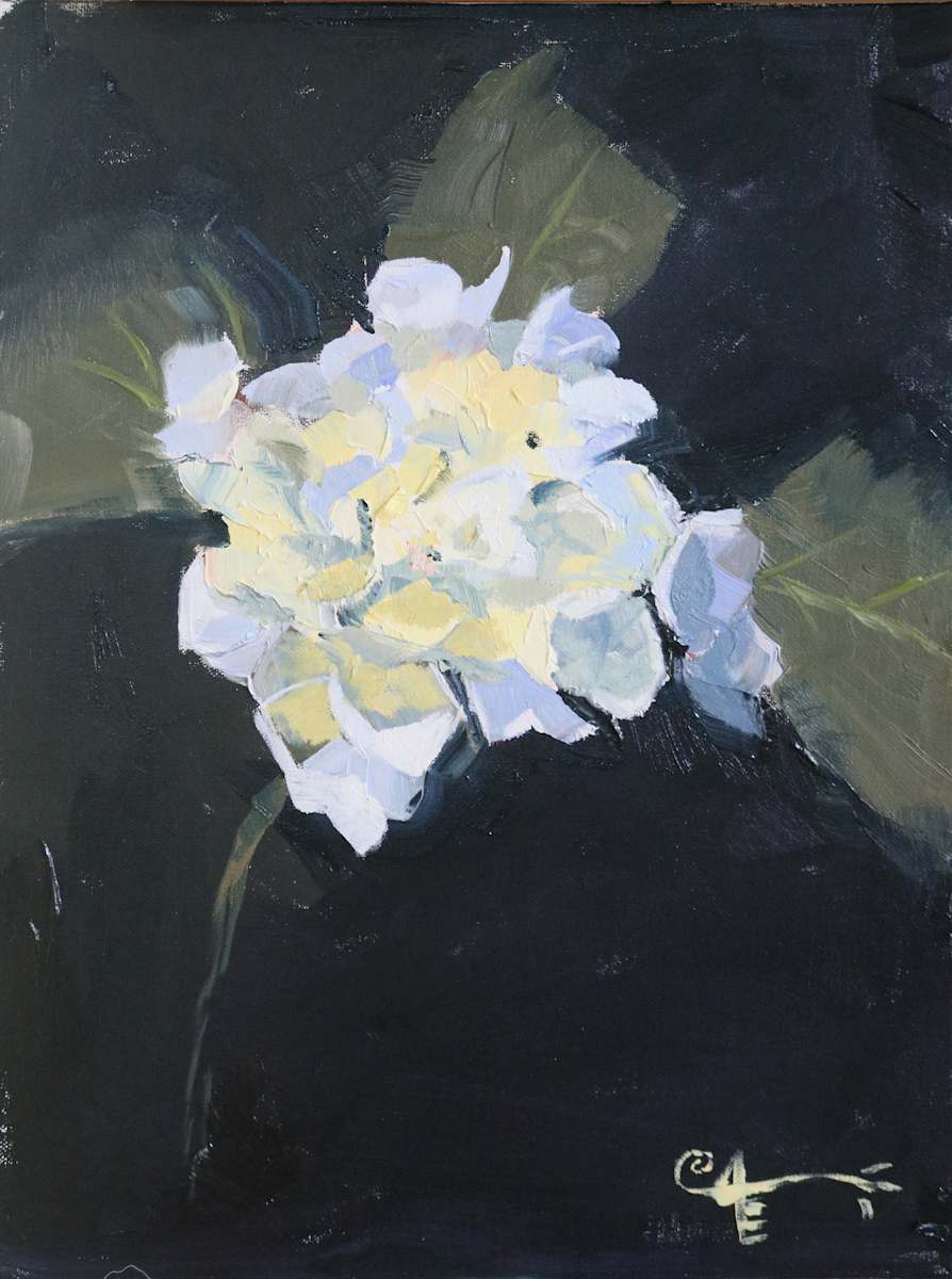 A Minimalist's Hydrangea by Catherine Kauffman, Image 1.