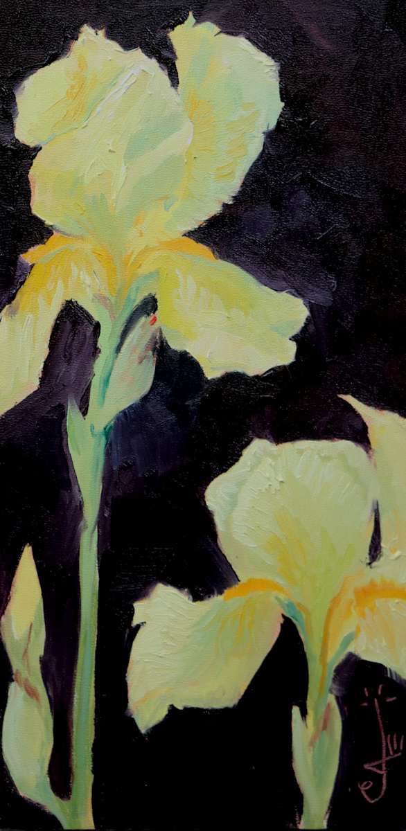 The Early Irises by Catherine Kauffman 
