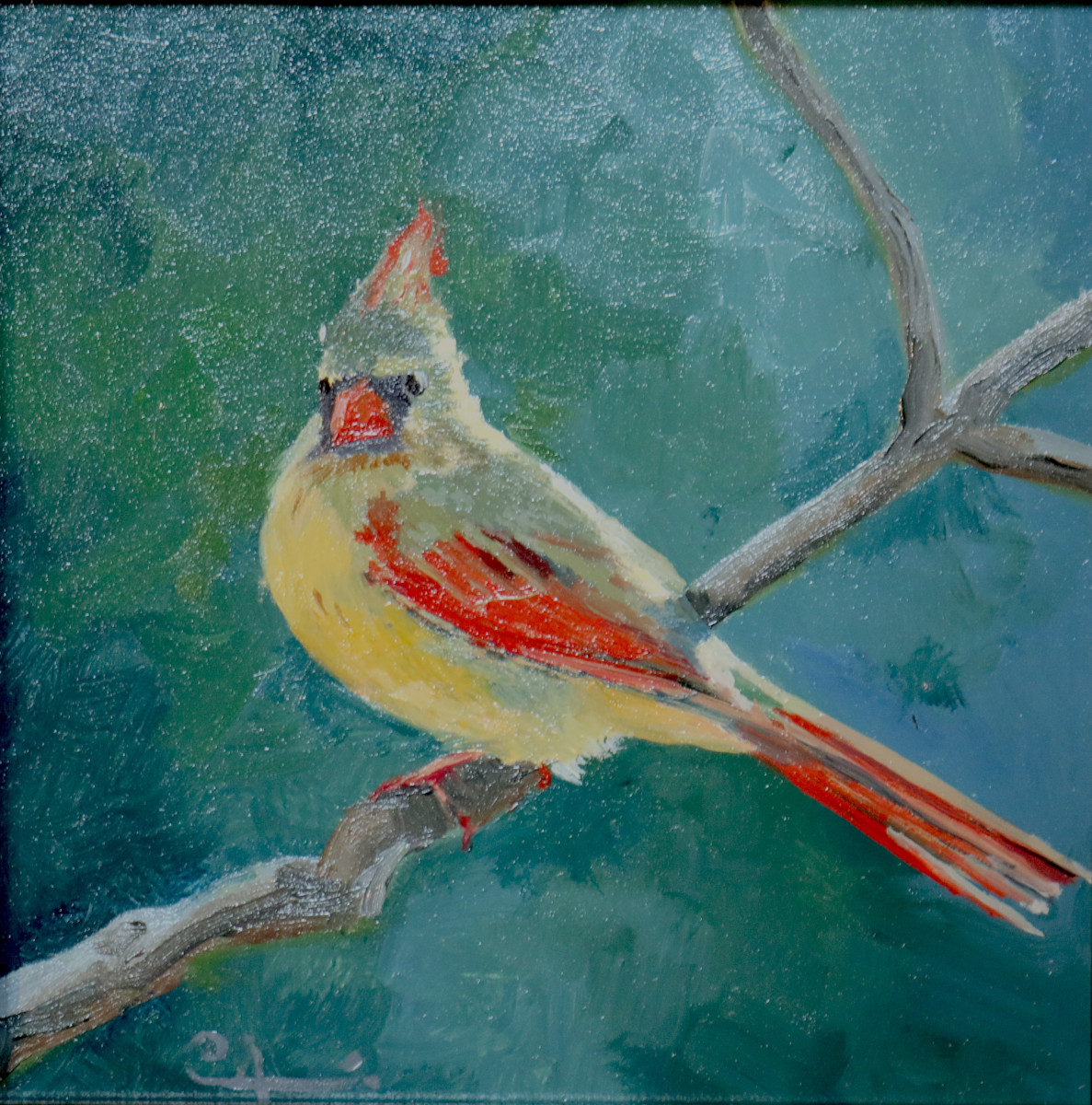 Backlit Beauty by Catherine Kauffman 