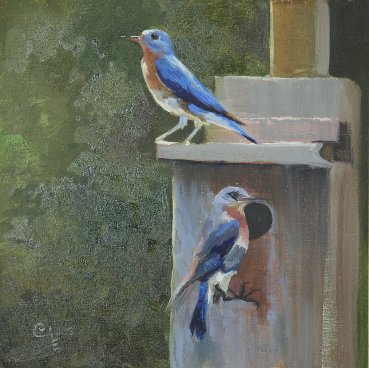 Mr. & Mrs. Bluebird by Catherine Kauffman 