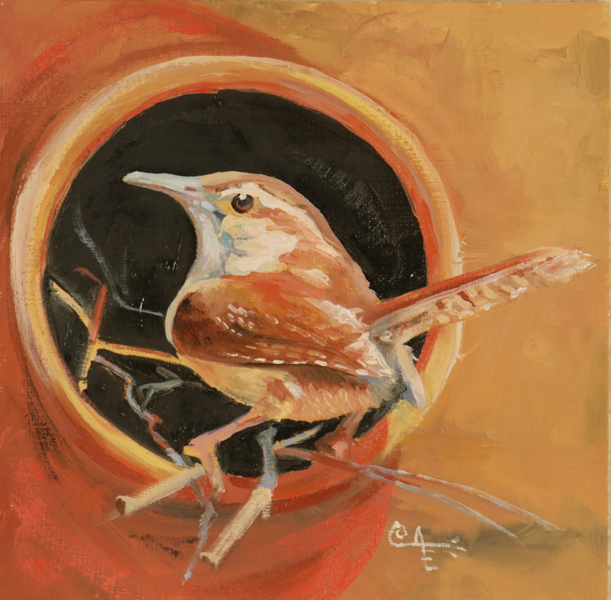 Carolina Wren by Catherine Kauffman 