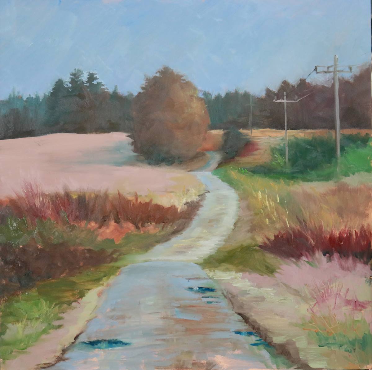 Afternoon Sun After the Rain by Catherine Kauffman, Image 1.
