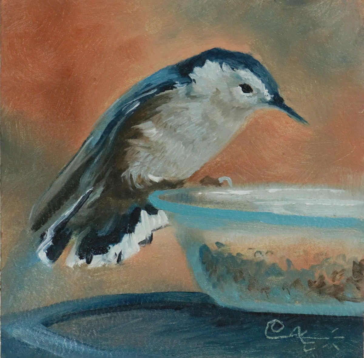 White-Breasted Nuthatch by Catherine Kauffman 