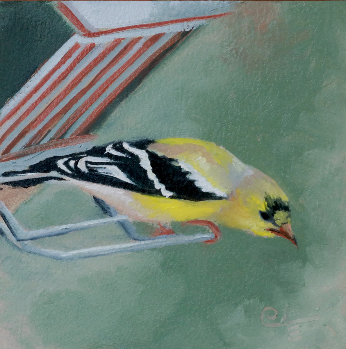 Goldfinch II by Catherine Kauffman 