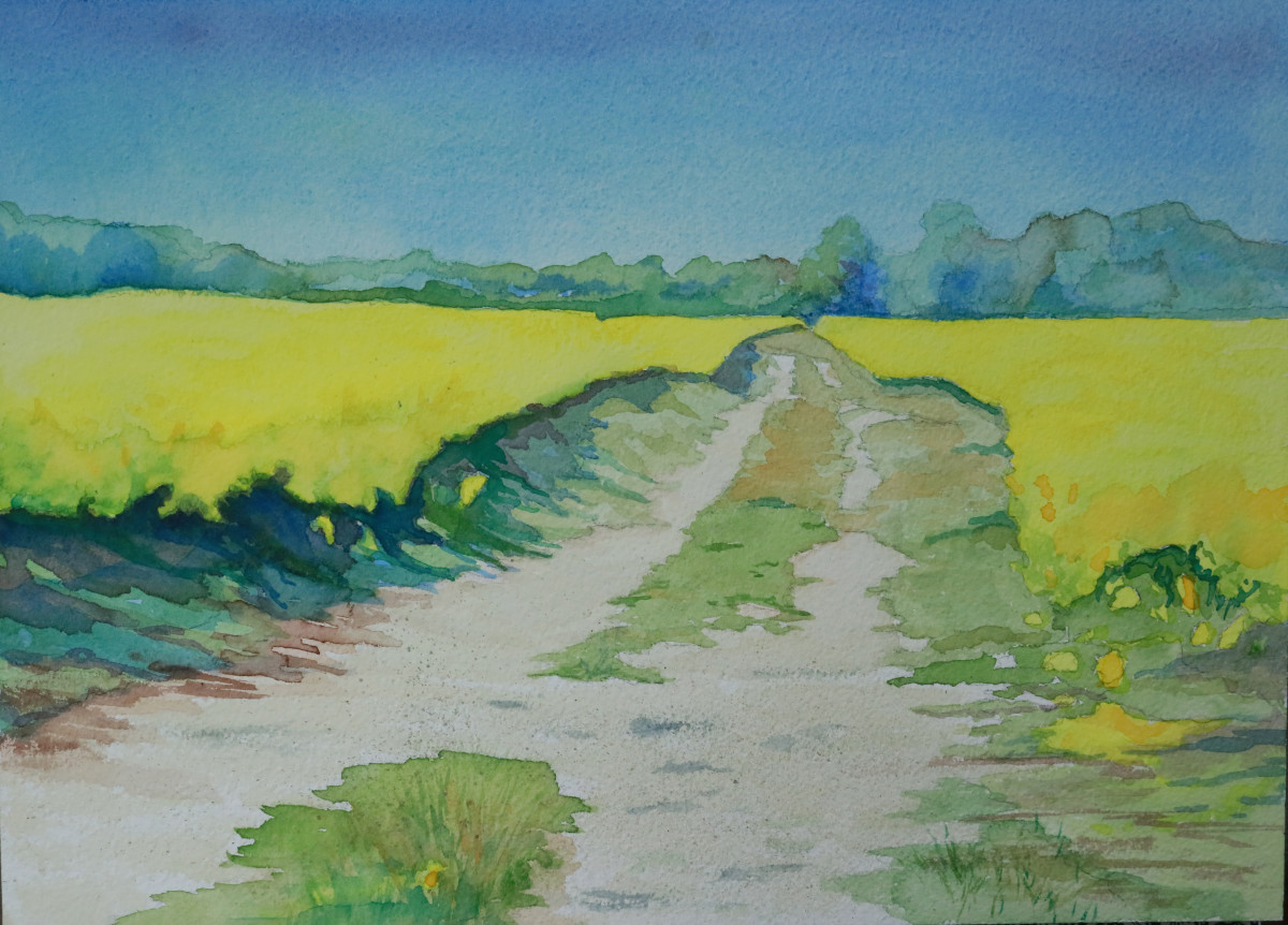 Canola Road by Catherine Kauffman 