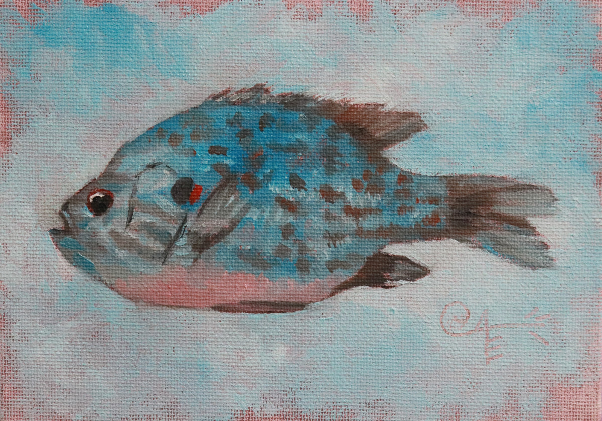 Sunfish by Catherine Kauffman 