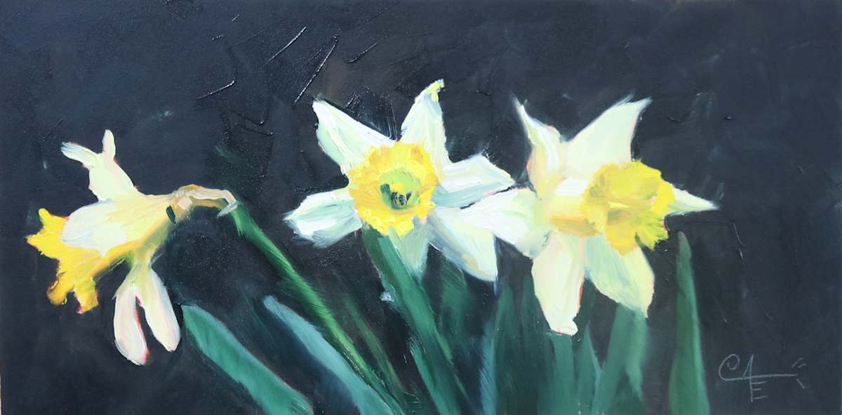 Spring Has Sprung, Image 1.