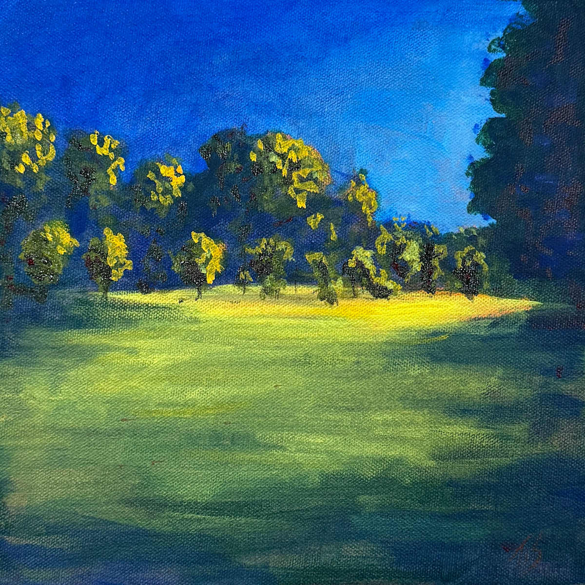 Burnside Field by Thomas Stevens, Image 1.