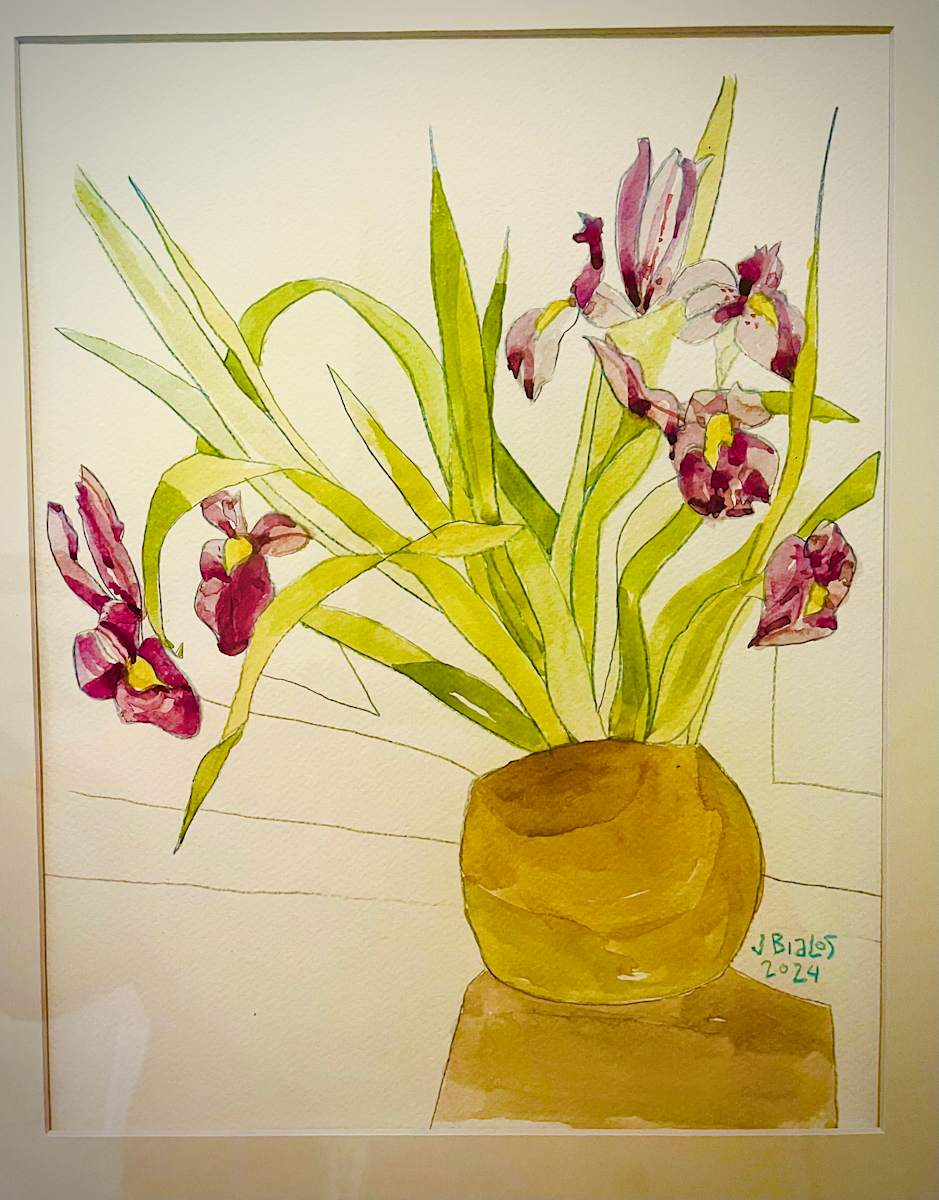 Favorite Iris by Jake Bialos, Image 1.