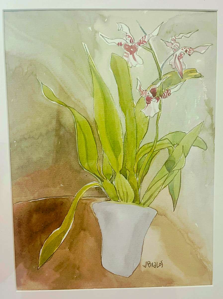 French Orchid by Jake Bialos 