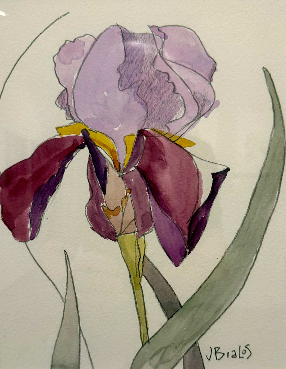 Iris Totem by Jake Bialos 